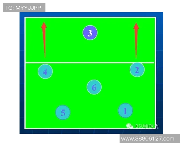 深圳排球队的战术演变与技术提升深度解析