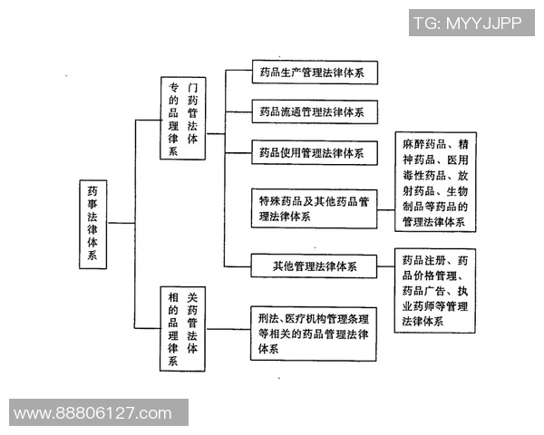 北京排球队防反体系探讨：排球战术的创新与应用分析