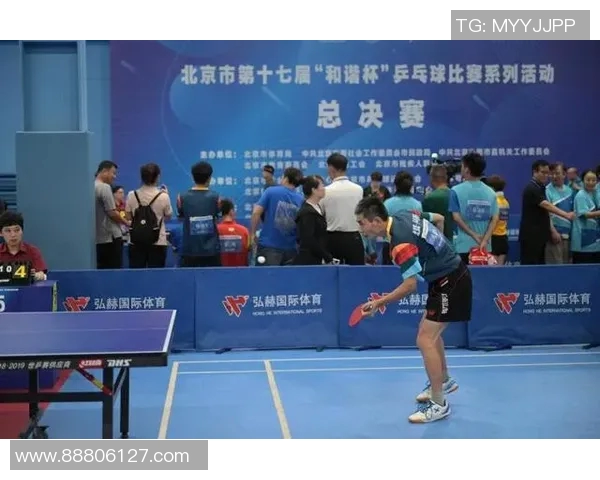 乒乓球盛宴：深入探索杭州乒乓球队的精神与文化传承