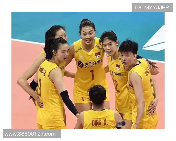 广州排球队灵活性排名第一最新排球灵活性TOP10榜单揭晓