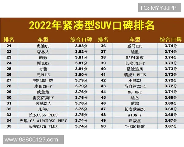 权威发布：2023年排球团队协作实力全面分析与排名揭晓