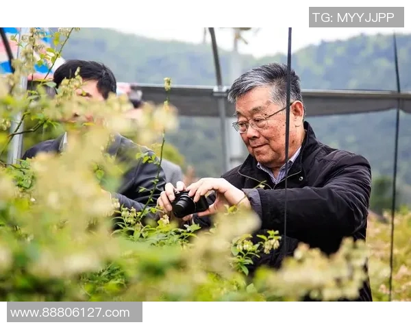 武汉羽毛球队的逆袭之旅：从默默无闻到全国冠军的奋斗纪实
