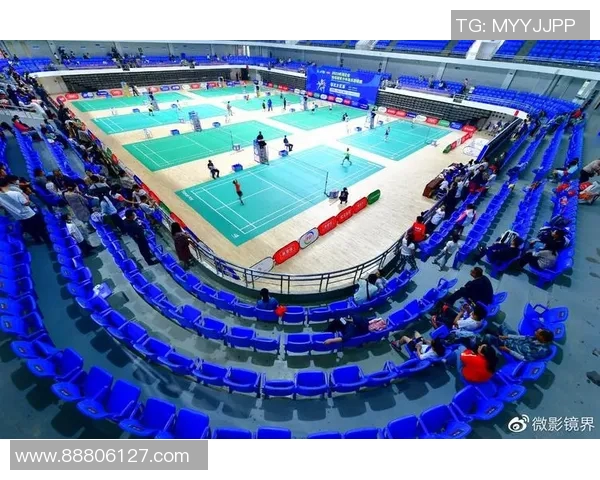 羽毛球盛宴：深入分析武汉羽毛球队的战术布局与训练秘诀