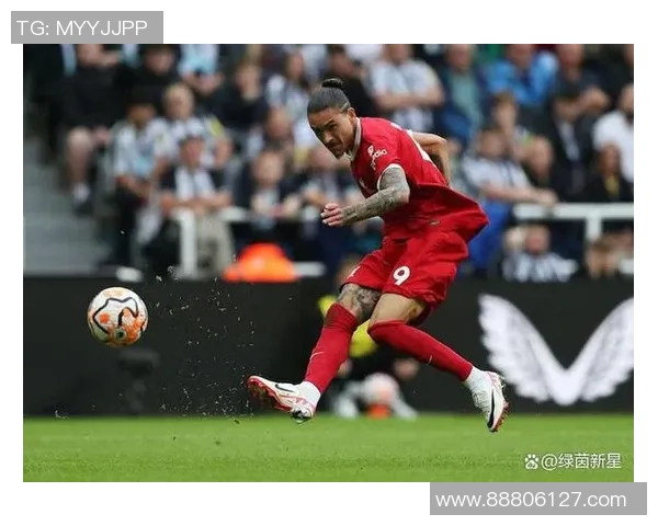 努涅斯在赛场上的崛起与挑战解析,未来能否成为足球界的新星 努涅斯在赛场上的崛起与挑战解析,未来能否成为足球界的新星