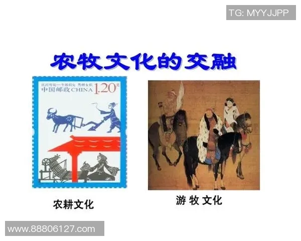 焦泊乔:探索他在当代艺术与文化交融中的独特视角与影响力 焦泊乔:探索他在当代艺术与文化交融中的独特视角与影响力