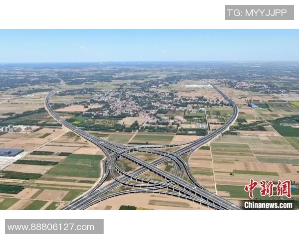 厄德高在国际舞台上的崛起与影响力分析及未来发展展望