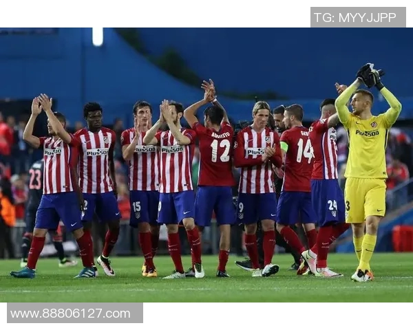 马德里竞技与拜仁慕尼黑决赛精彩视频回顾与分析