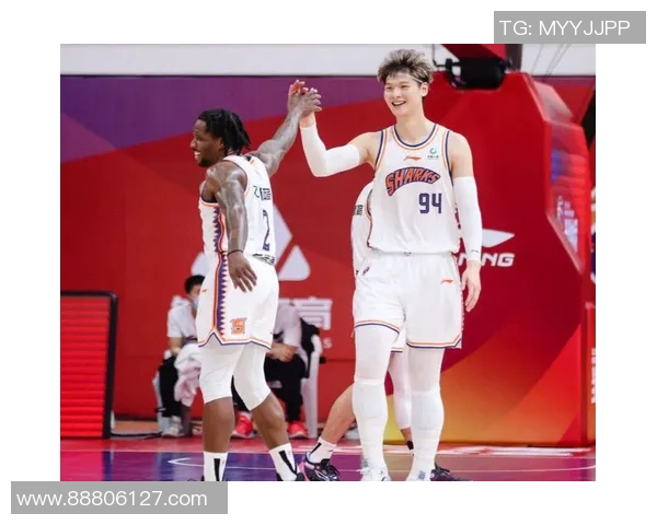 王哲林在篮球赛场的崛起与挑战解析他的职业生涯与未来发展方向